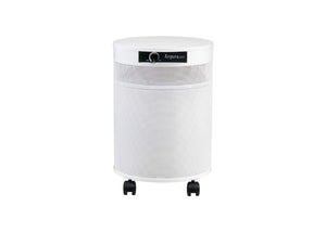 Airpura P600 Air Purifier for Germs, Mold & Chemicals