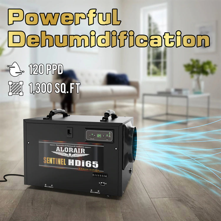 Alorair Sentinel HDi65 Basement Dehumidifier