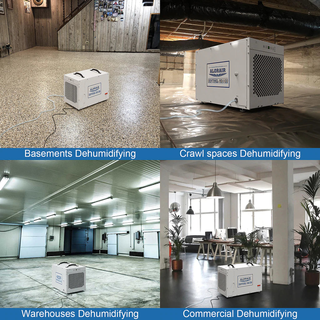 Alorair Sentinel HDi100 Basement & Crawl Space Dehumidifier