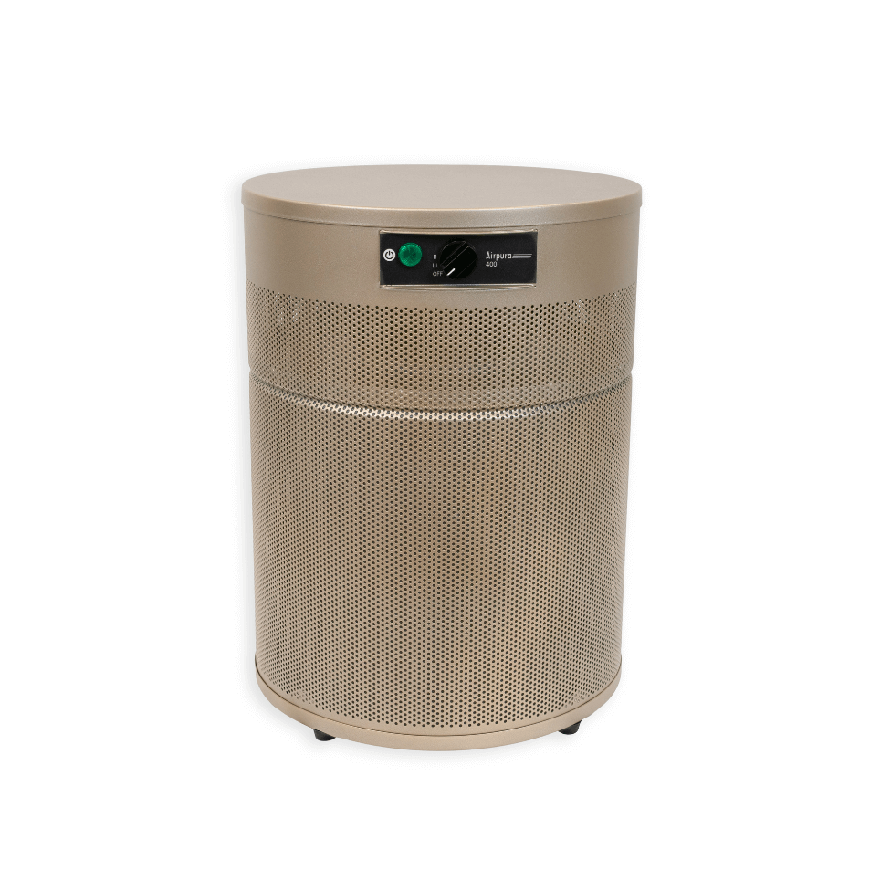 Airpura R600 Every Day Air Purifier