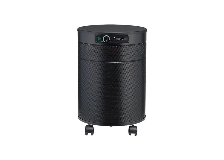 Airpura R600 Every Day Air Purifier