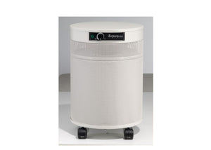 Airpura R600 Every Day Air Purifier
