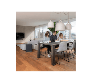 Stadler Form Roger Big Air Purifier