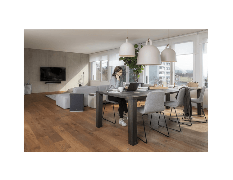 Stadler Form Roger Air Purifier