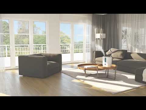 Boneco U350 Top Fill Ultrasonic Humidifier Cool/Warm Mist Up To 730 Sq. Ft.
