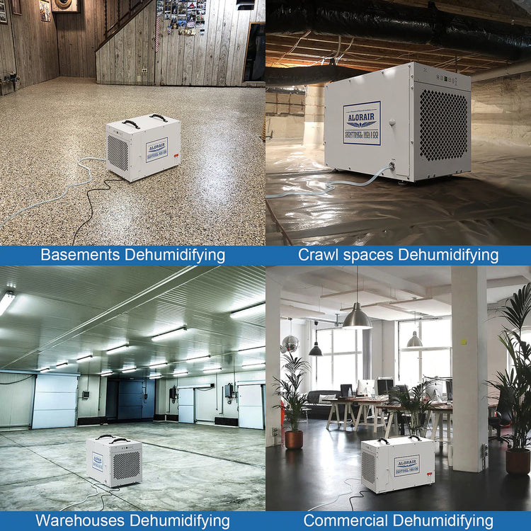 Alorair Sentinel HDi100 Basement & Crawl Space Dehumidifier