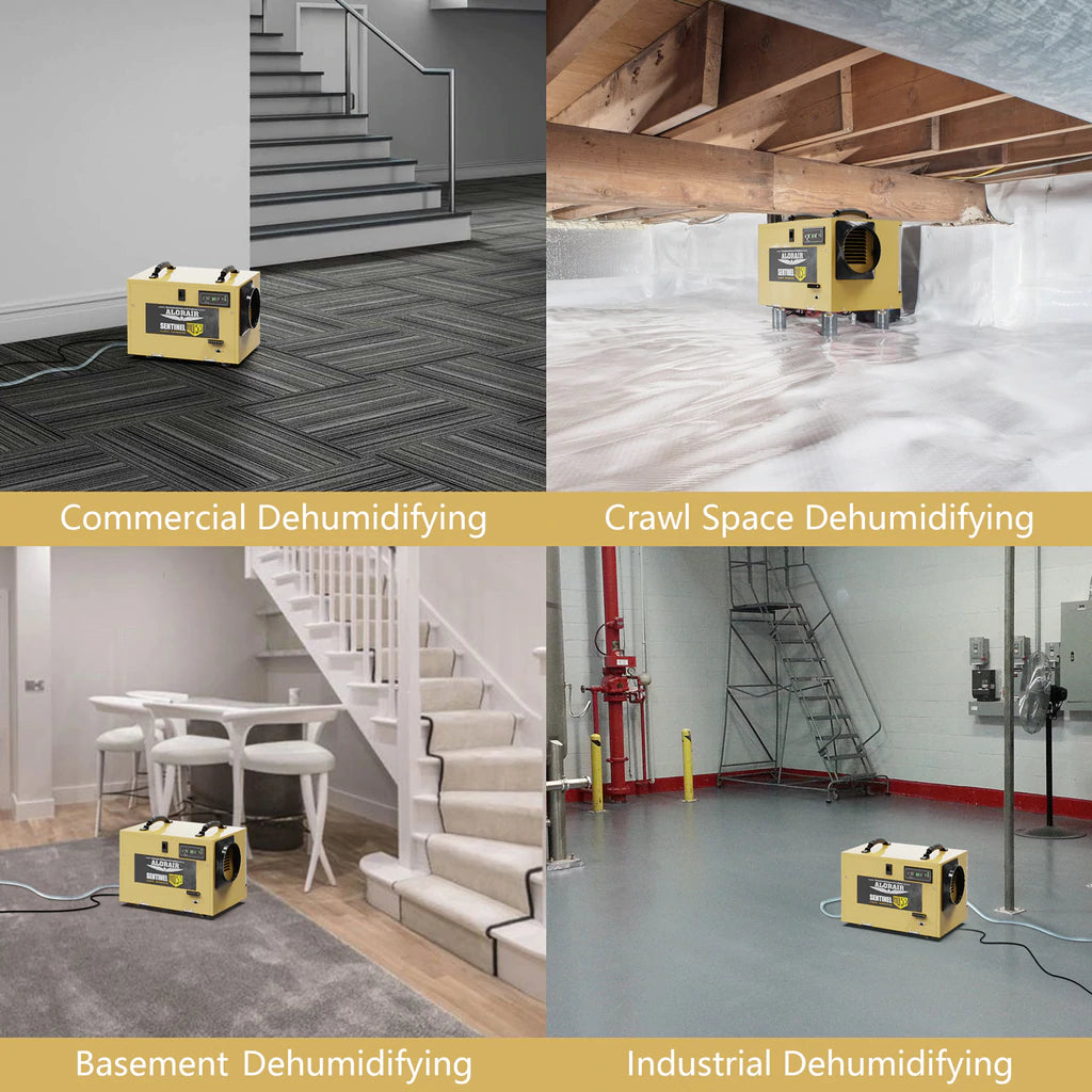 Alorair Sentinel HD55 Gold Dehumidifier
